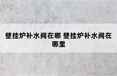 壁挂炉补水阀在哪 壁挂炉补水阀在哪里